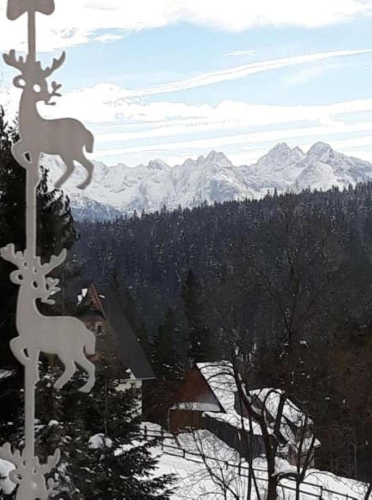 Tybet Domki i Apartamenty Bukowina Tatrzanska Bagian luar foto